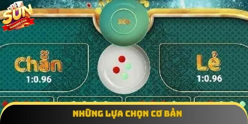 Những lựa chọn cơ bản